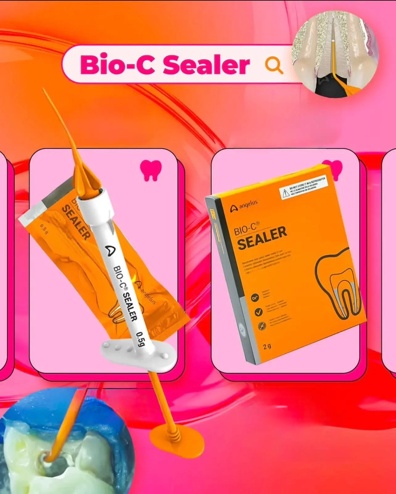 Angelus Bio C Sealer 0.5g - Image 3